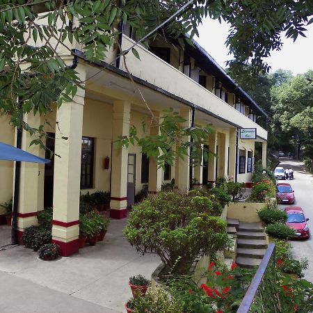 Alasia Hotel Kasauli Exteriör bild